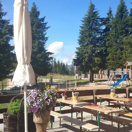 Gasthof Berggasthof Schatzbergalm *