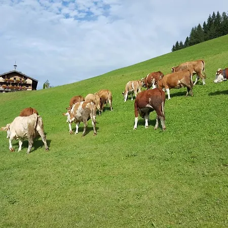 Berggasthof Schatzbergalm 여관 *