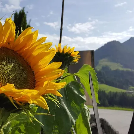 Gasthof Berggasthof Schatzbergalm *
