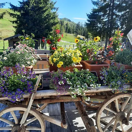 Berggasthof Schatzbergalm Apartment