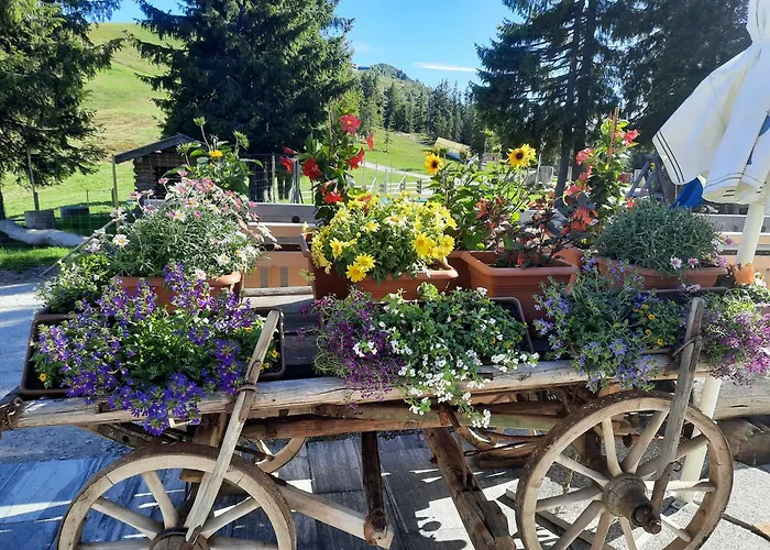 Berggasthof Schatzbergalm Apartmán