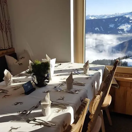 Berggasthof Schatzbergalm Πανδοχείο *