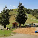 公寓 Berggasthof Schatzbergalm *