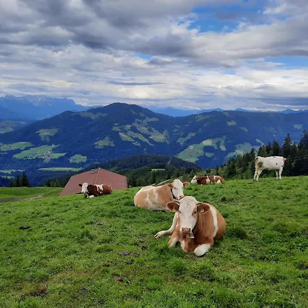 Berggasthof Schatzbergalm Thierbach