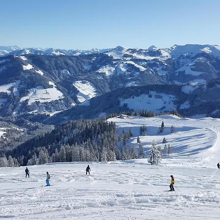 Berggasthof Schatzbergalm Apartamento *