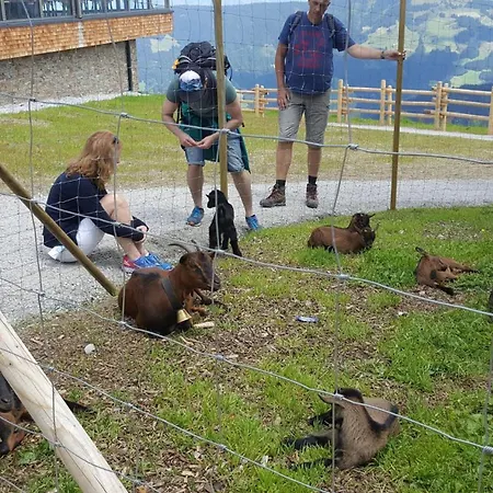 Apartamento Berggasthof Schatzbergalm
